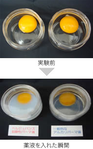 卵の実験でよくわかる弱酸性（酸性）とアルカリ性の作用の違い
